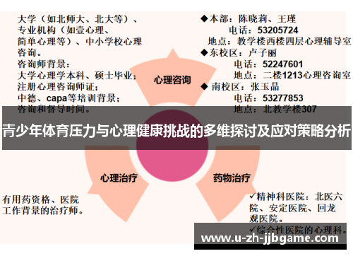 青少年体育压力与心理健康挑战的多维探讨及应对策略分析 青少年体育压力与心理健康挑战的多维探讨及应对策略分析